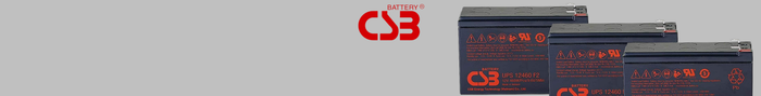 Csb ups battery