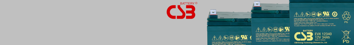 Csb evx battery