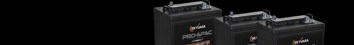 Yuasa pro spec battery