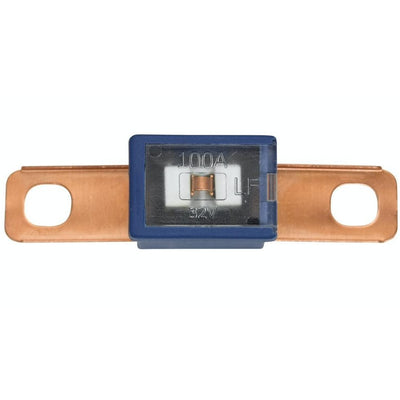 PEC PAL 100 Amp Slow Blow Fuse Type CT Male
